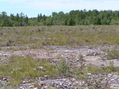 P8130140