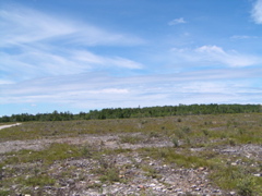 P8130141