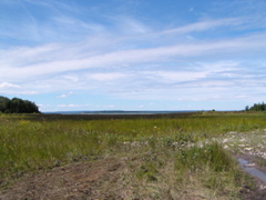 P8130142