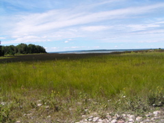 P8130145