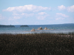 P8130146