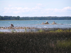 P8130152