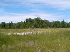 P8130158