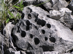 P8130160