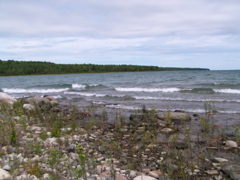 P8130108