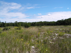 P8130163
