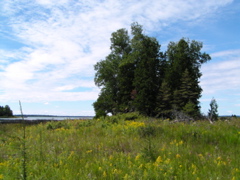 P8130164