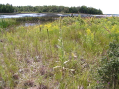 P8130166