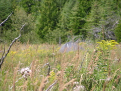 P8130168