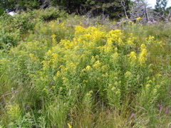 P8130170