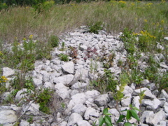 P8130171