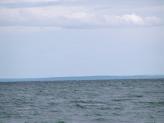 P8130109
