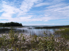 P8130172