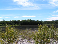 P8130173