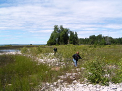 P8130174