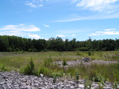 P8130176
