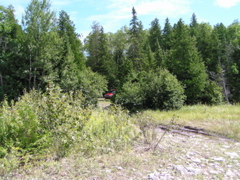 P8130178