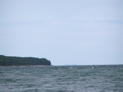 P8130110