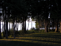 P8140182