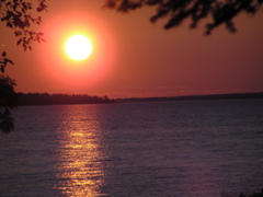 P8140187