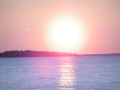 P8140188
