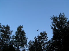 P8140194