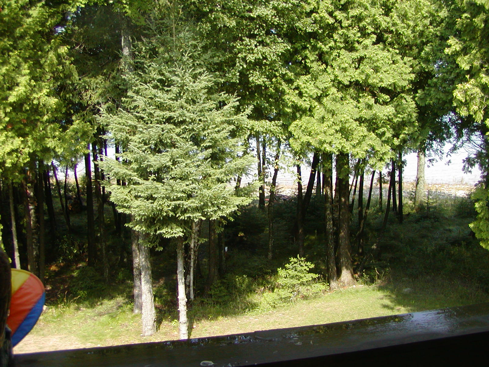 P1010189