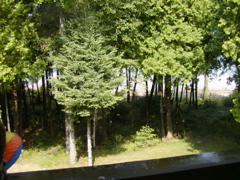 P1010189