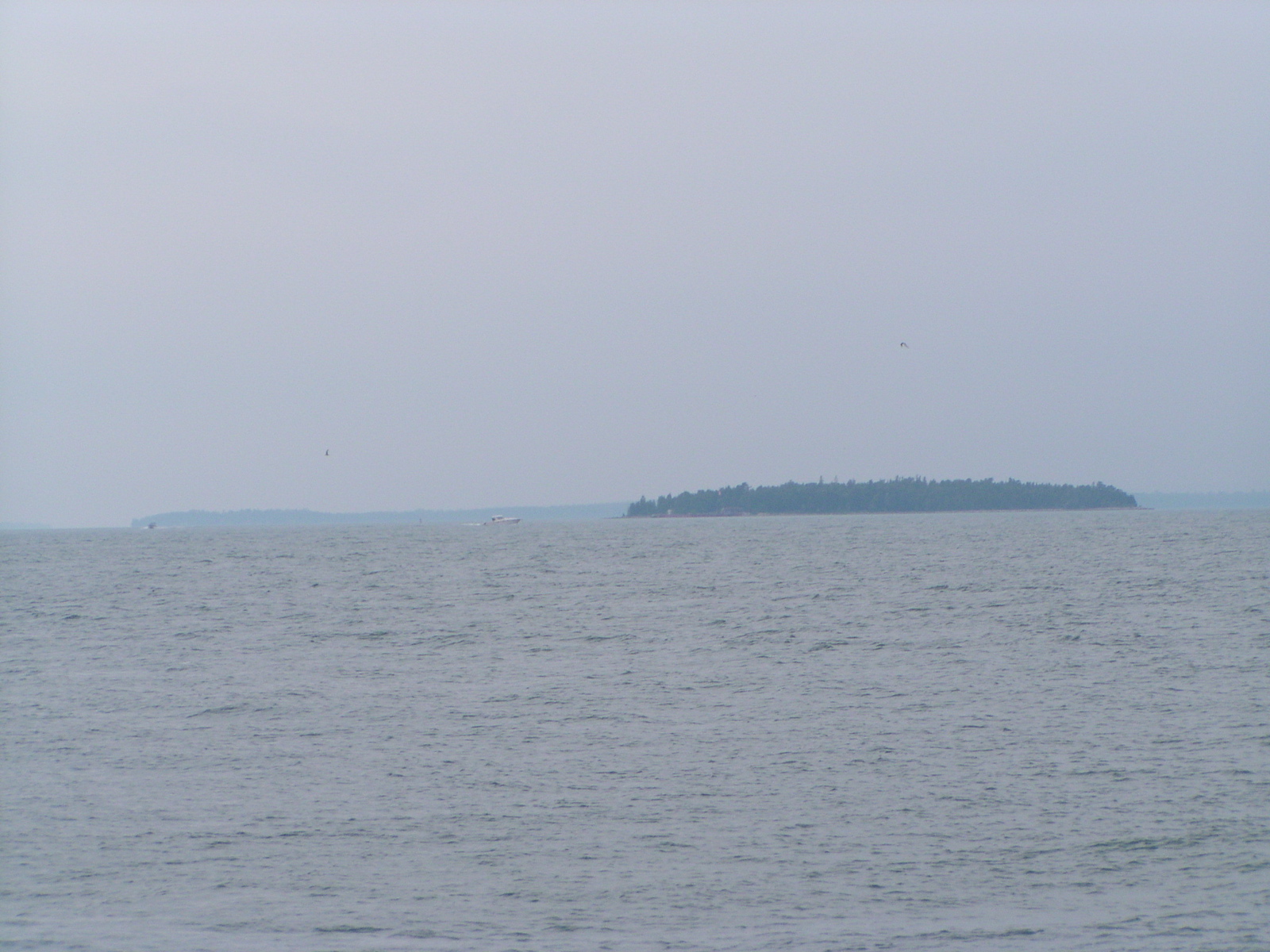 P8170120
