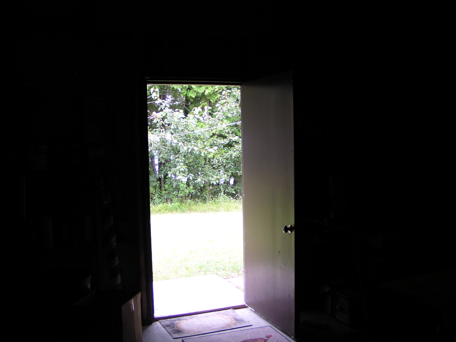 P8170088