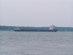 P8170117