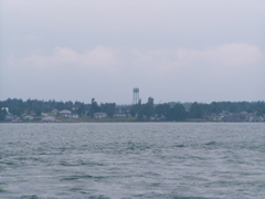 P8170118