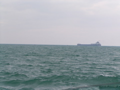 P8170130