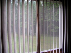 P8170003