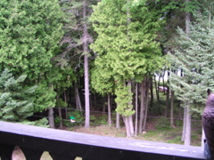 P8170021