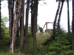 P8170034